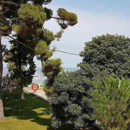 Casa Bionda Cittanova Affittacamere