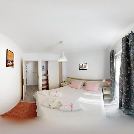 Casa Bionda Cittanova Affittacamere